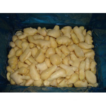 Jengibre congelado (100-150g) para exportar